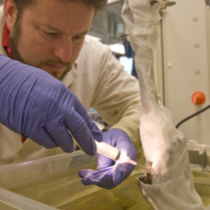 Conservator Dr. Chris Wilkins conserves an isolated portion of the Roman flintlock pistol