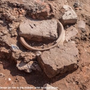 North Devon jar rim in situ