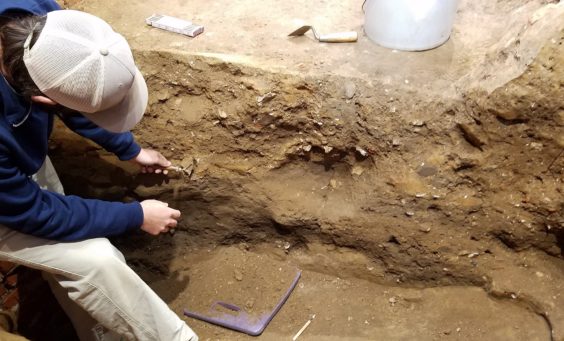 archaeologist using a trowel to scrape soil from a unit wall