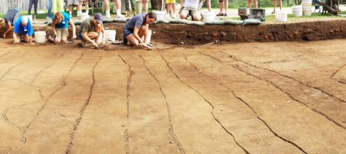 Students excavating planting furrows