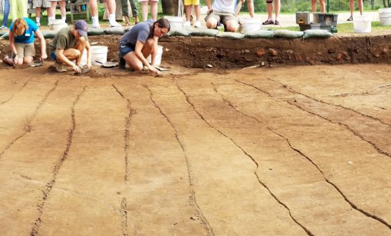 Students excavating planting furrows