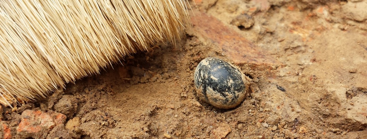 Round artifact in situ