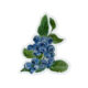 Blueberries Sticker