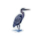 Great Blue Heron Sticker