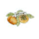 Persimmon Sticker
