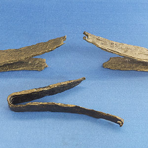 Three wooden animal trap springs