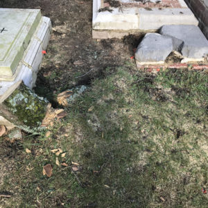 Tree limb embedded into the ground in a churchyard